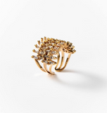Ring Korallenriff Detail