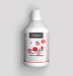 PEROXYGIEN PLUS 500ML CHOGAN